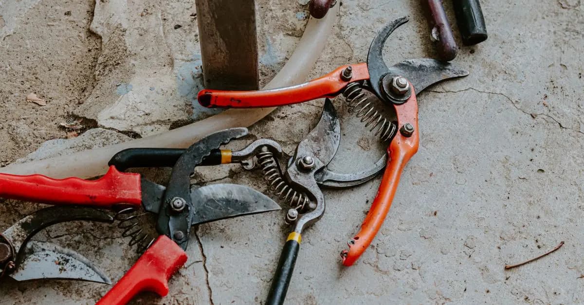 Best Black Friday Deals for Garden Tools